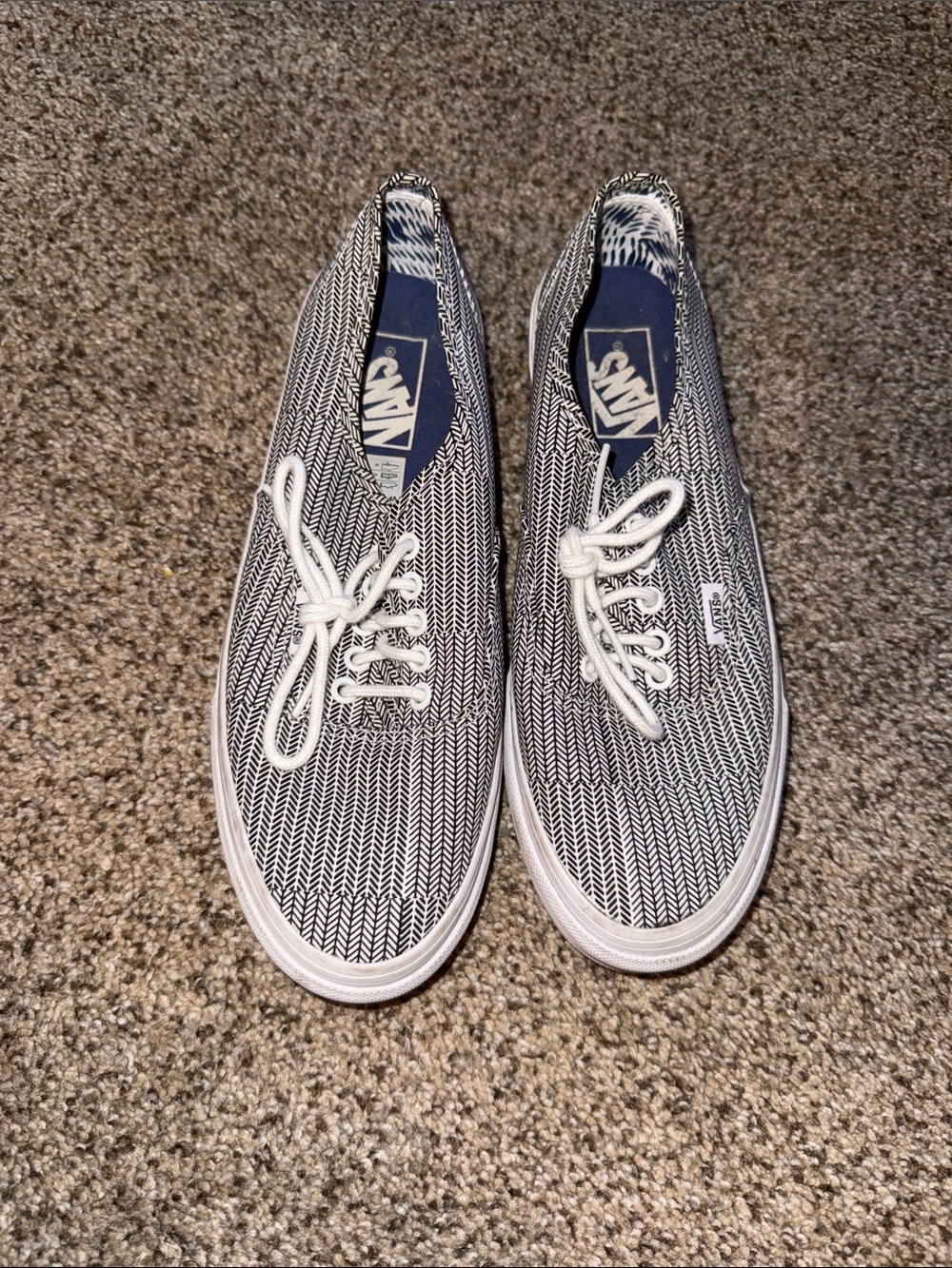 Vans Men’s Lace-Up Canvas Sneakers in Black & White
